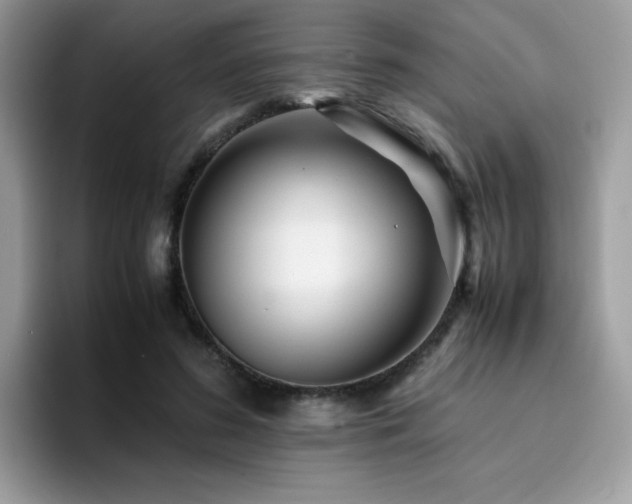 X0000094950596200711291415