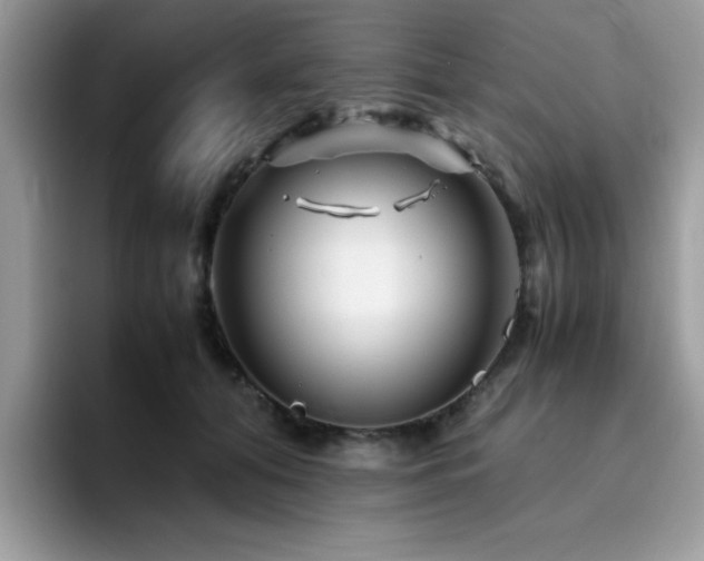 X0000094950608200711291415