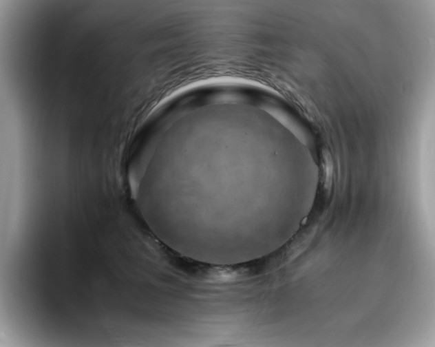 X0000094950613200711291415