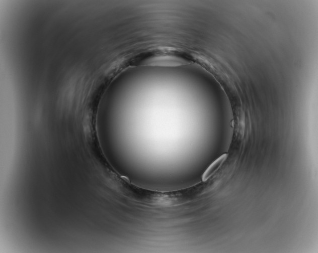 X0000094950616200711291415