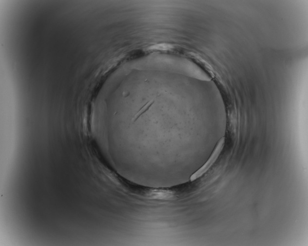X0000094950617200711291415