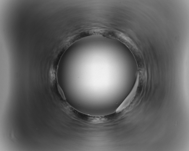X0000094950621200711291414