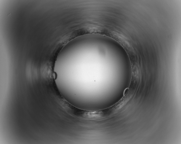 X0000094950622200711291414