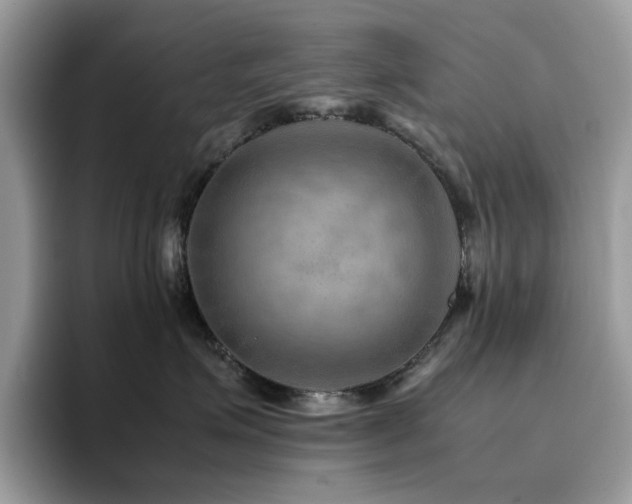 X0000094950623200711291414