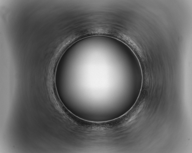 X0000094950625200711291414