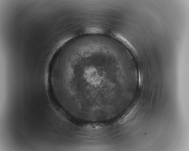 X0000094950627200711291414