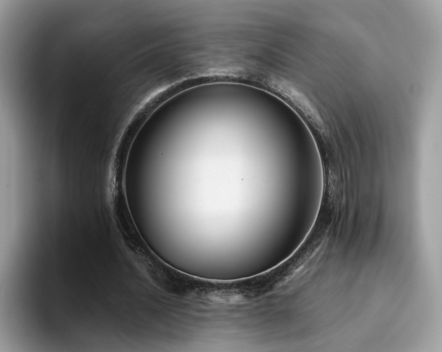 X0000094950628200711291414