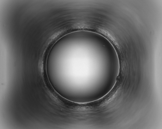 X0000094950629200711291414