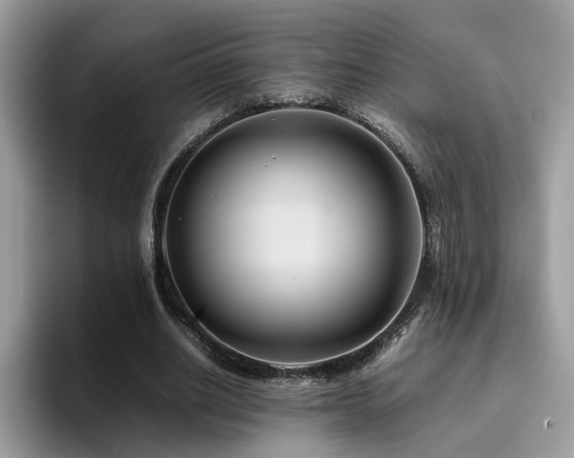 X0000094950630200711291414