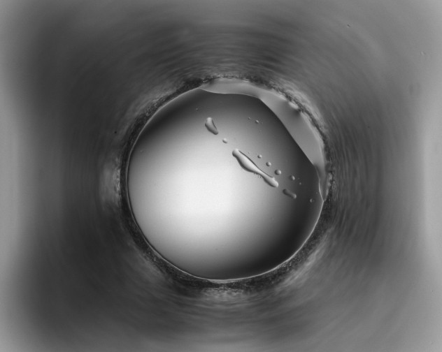 X0000094950633200711291414