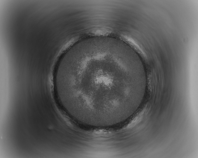 X0000094950634200711291414