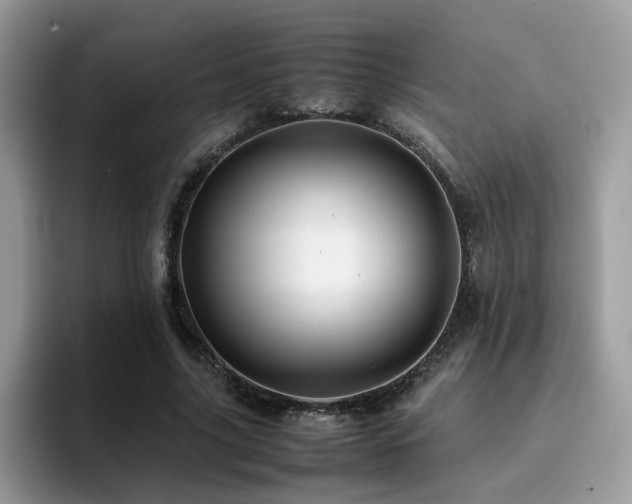 X0000094950635200711291414