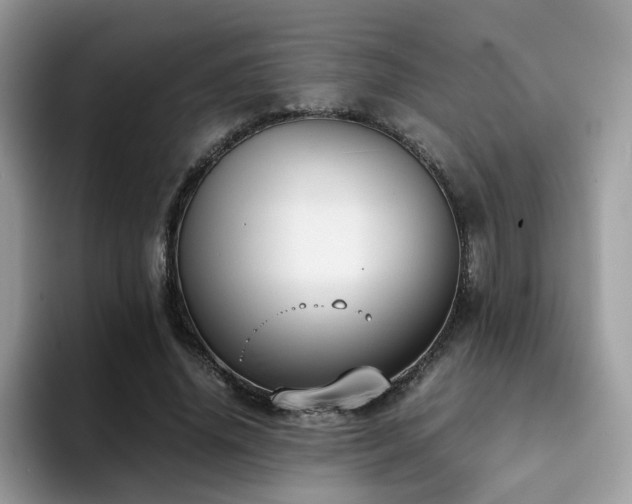 X0000094950636200711291414