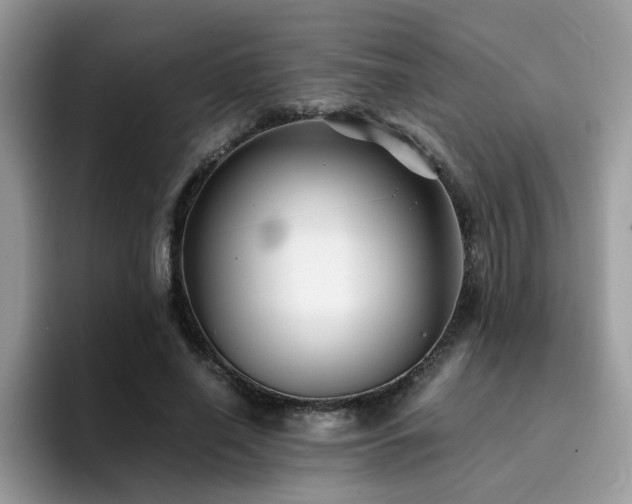 X0000094950638200711291414