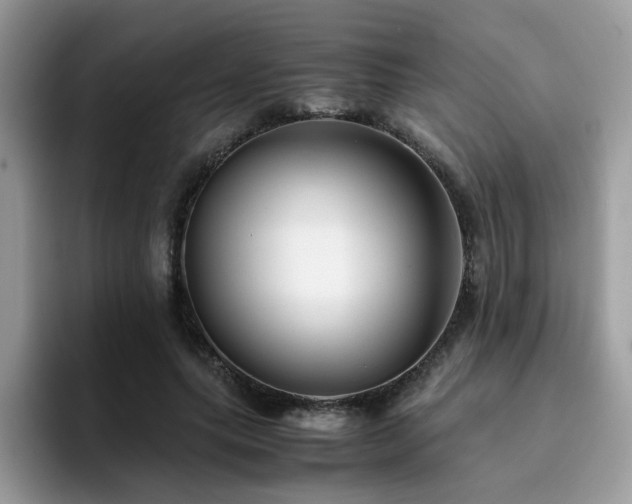 X0000094950639200711291414