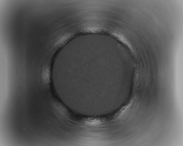 X0000094950640200711291414