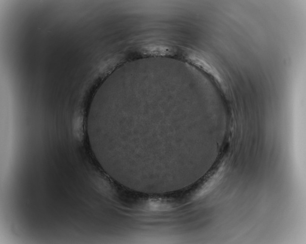 X0000094950641200711291414