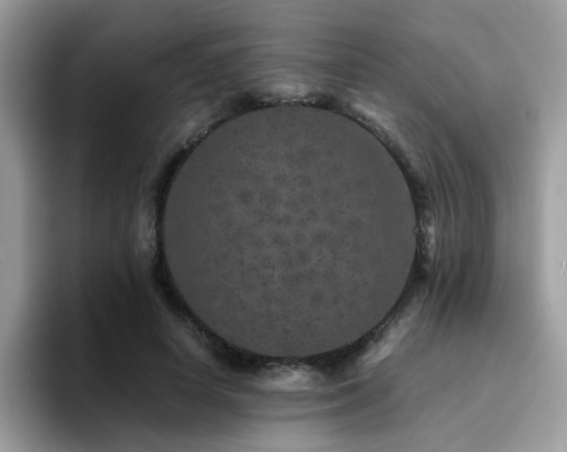 X0000094950642200711291414