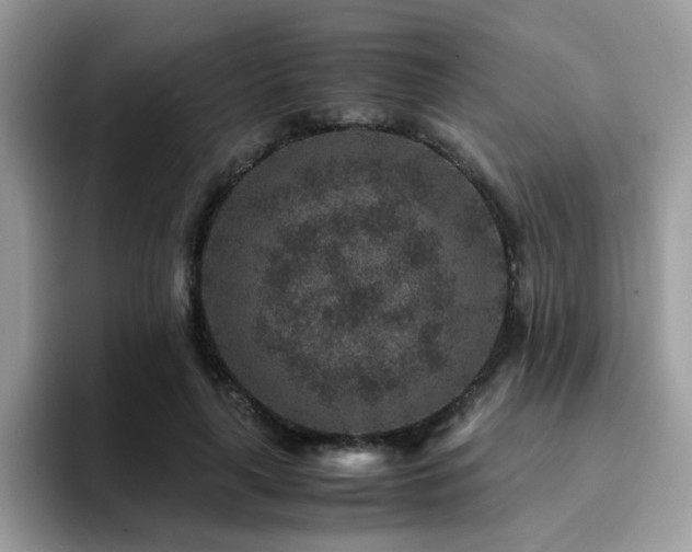 X0000094950643200711291414