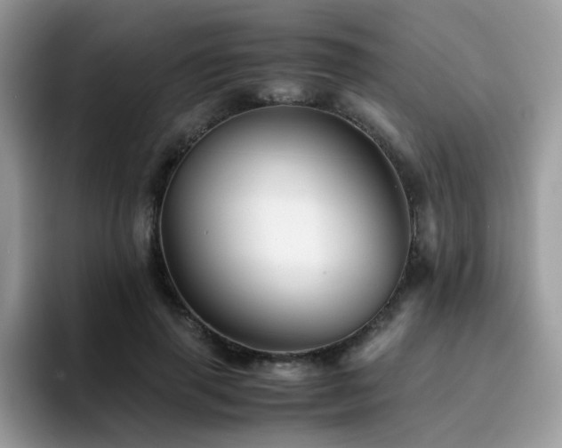 X0000094950645200711291414