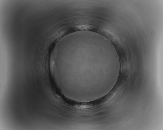 X0000094950647200711291414
