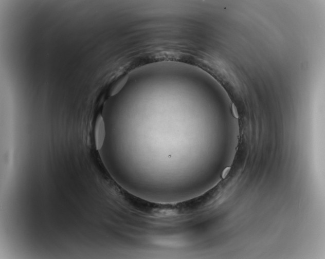 X0000094950649200711291414