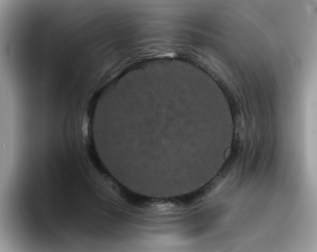 X0000094950650200711291414