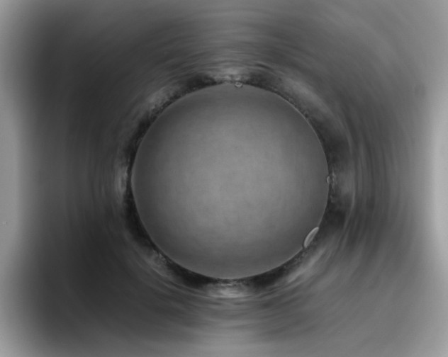 X0000094950652200711291414