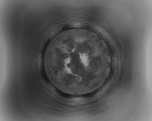 X0000094950653200711291414