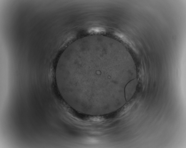 X0000094950659200711291414