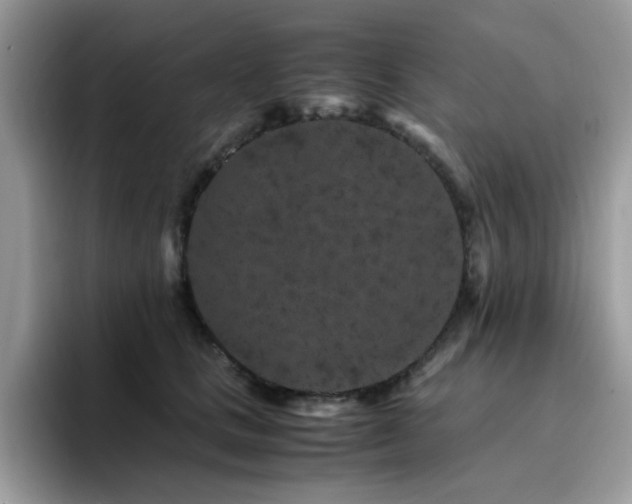 X0000094950661200711291414