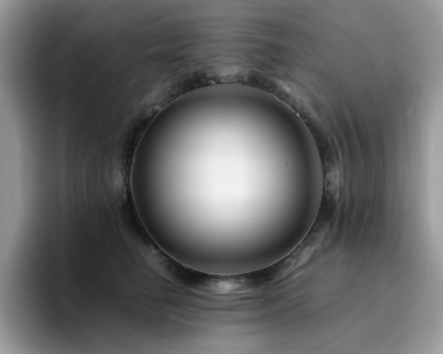 X0000094950662200711291414