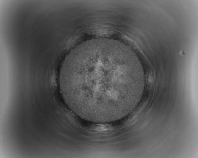 X0000094950663200711291414
