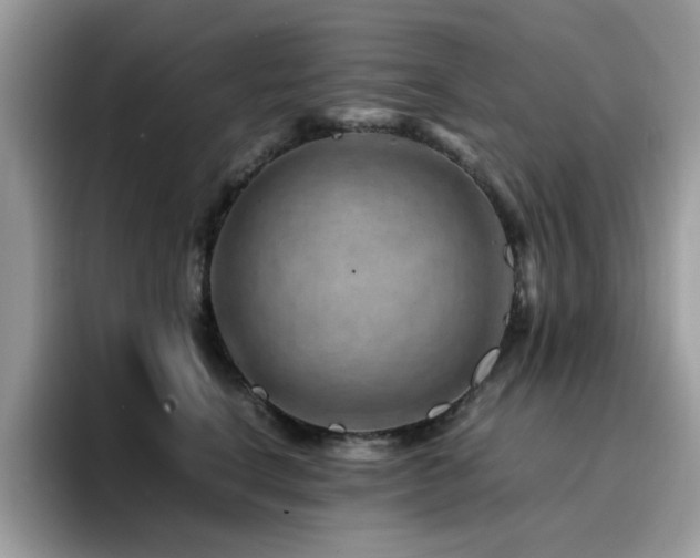 X0000094950664200711291414