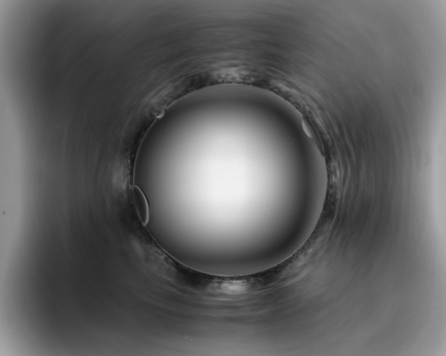 X0000094950665200711291414