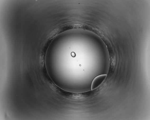 X0000094950666200711291414