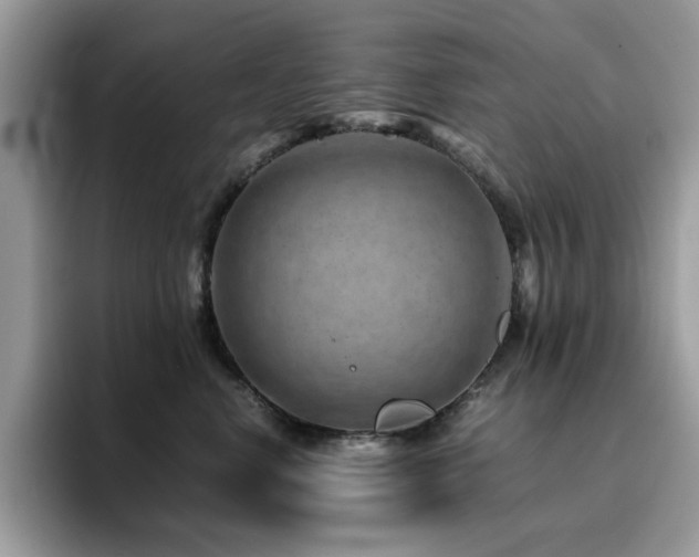 X0000094950668200711291414