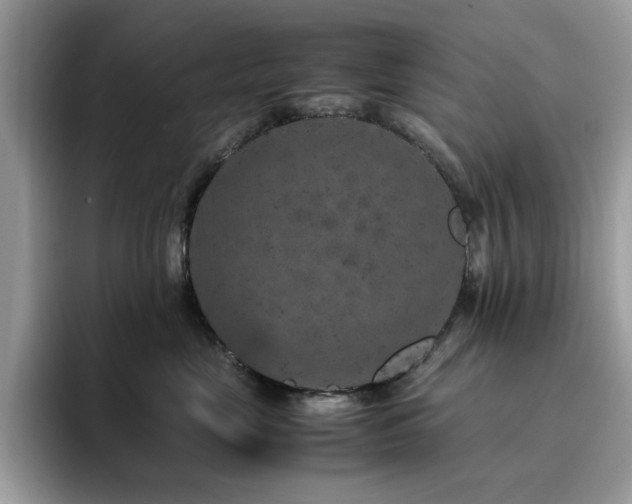X0000094950669200711291414