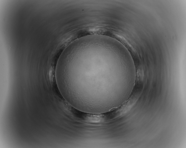 X0000094950671200711291414