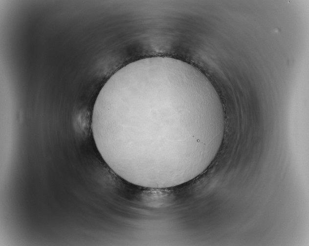 X0000094950672200711291414