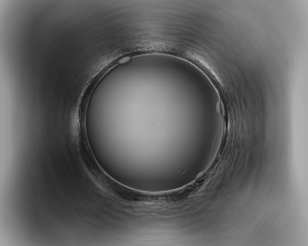 X0000094950674200711291414