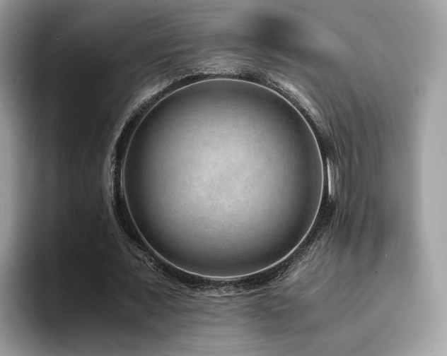 X0000094950675200711291414