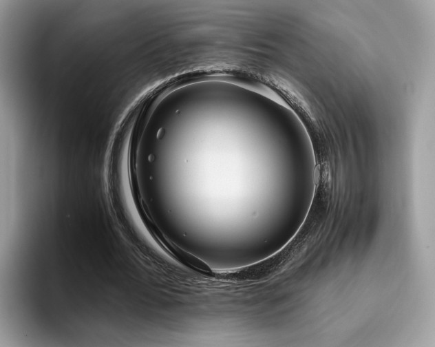 X0000094950676200711291414