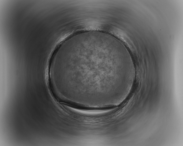 X0000094950677200711291414