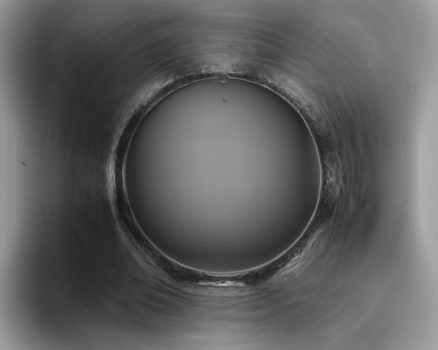 X0000094950678200711291414
