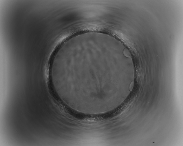 X0000094950679200711291414