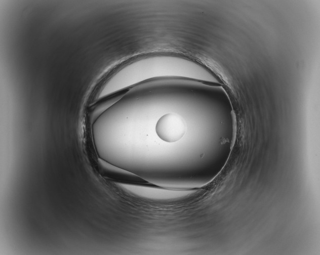 X0000094950680200711291414