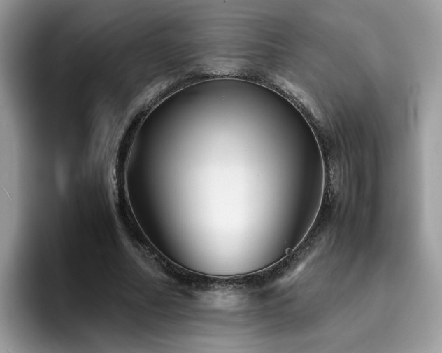 X0000094950682200711291414