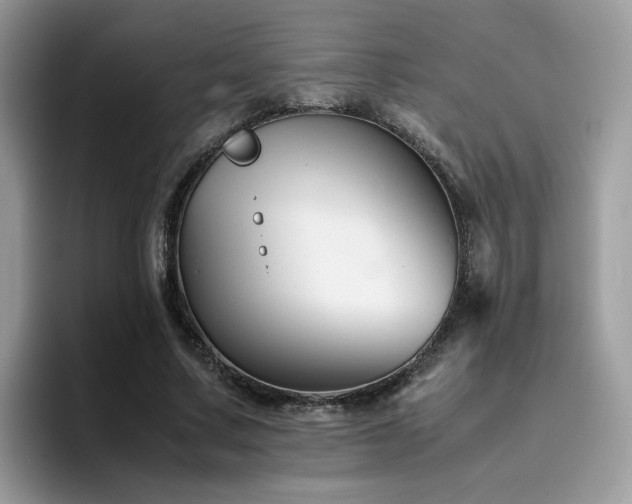 X0000094950683200711291414