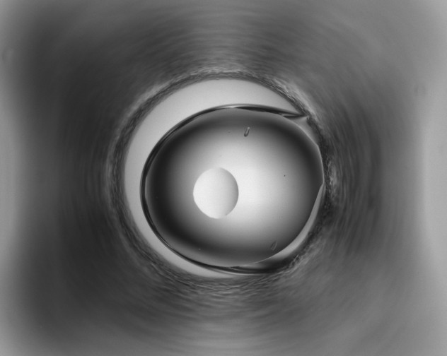 X0000094950684200711291414